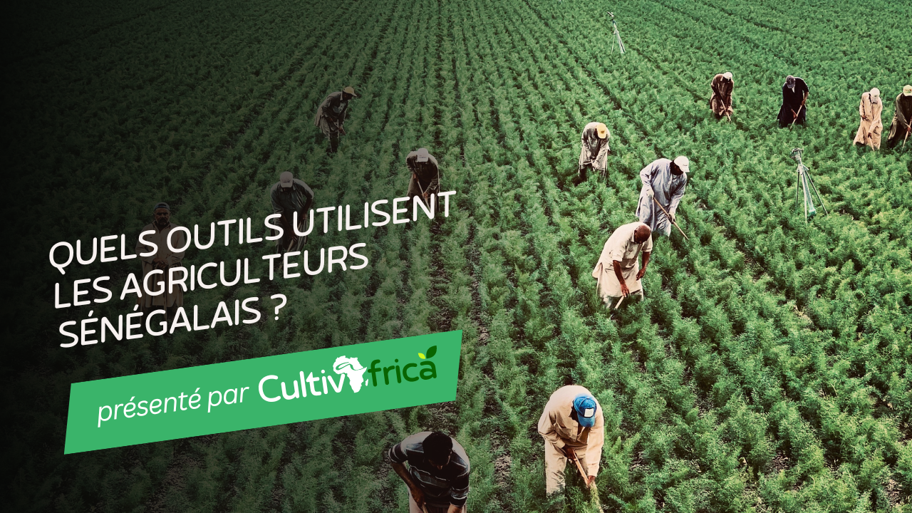 Quels outils utilisent les agriculteurs sénégalais ?