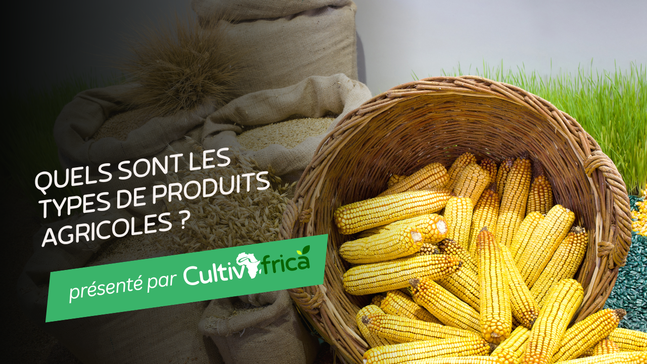 Quels sont les types de produits agricoles ?