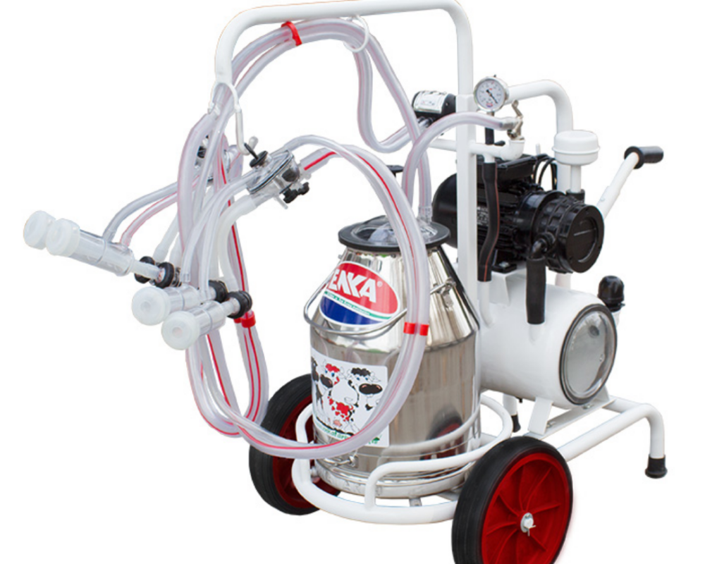 Double Machine à Traite et Bidon à Lait 30L